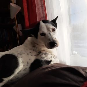 Meet your Posher, Sandi